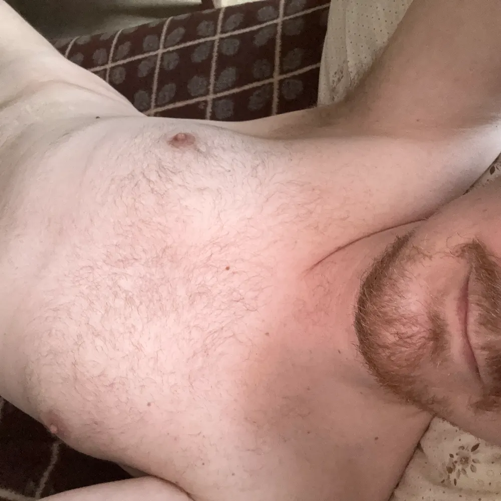 althebigfish.bsky.social's profile picture