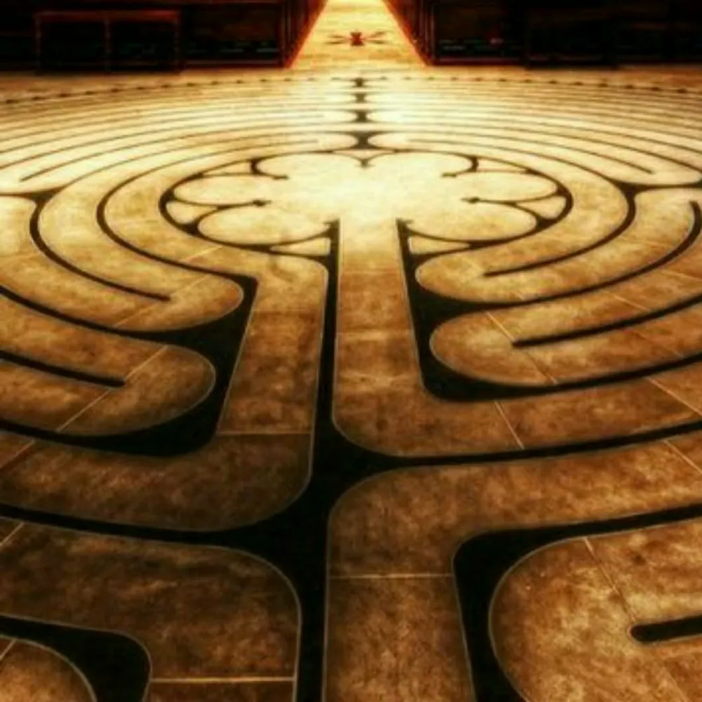 lcinnamon.bsky.social's profile picture