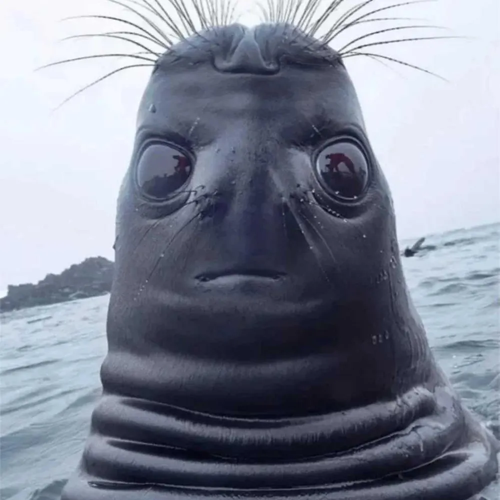 slartibartfast34.bsky.social's profile picture