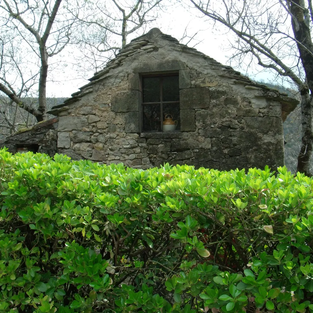 rialmi.bsky.social's profile picture