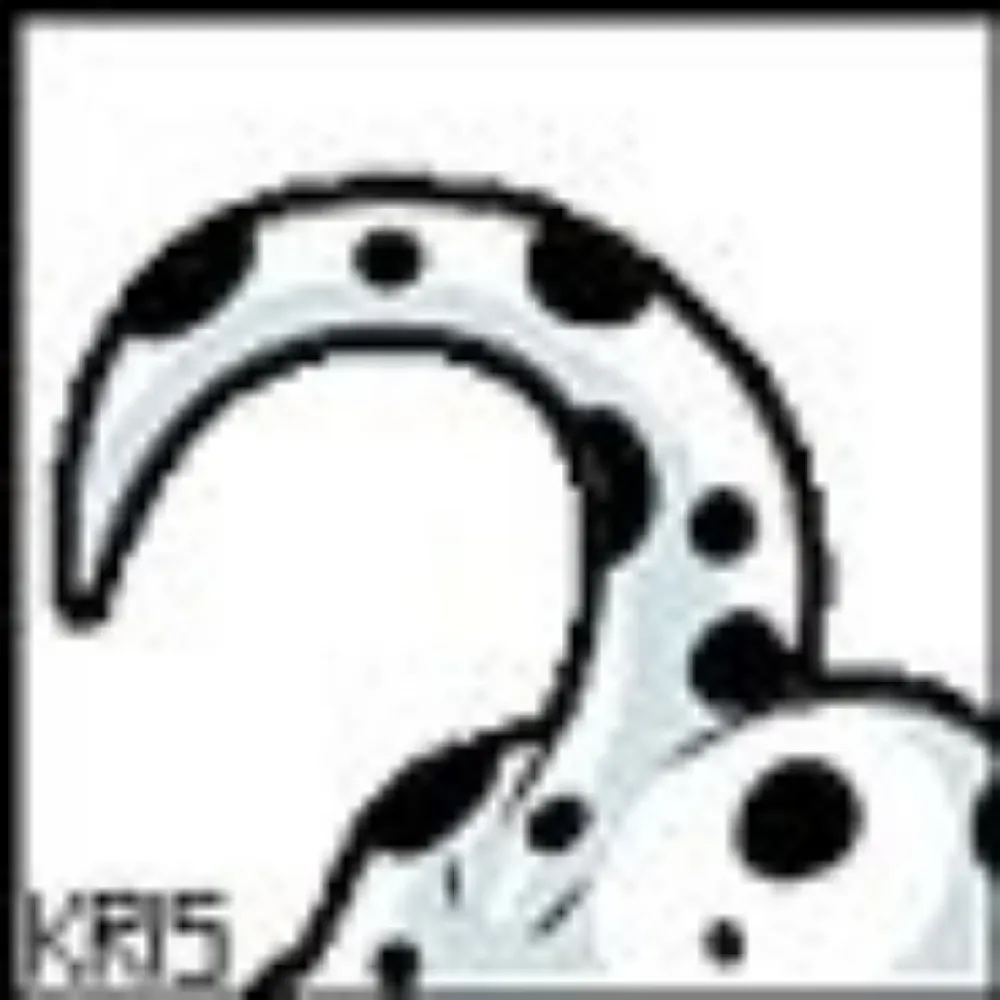 strayspots.bsky.social's profile picture