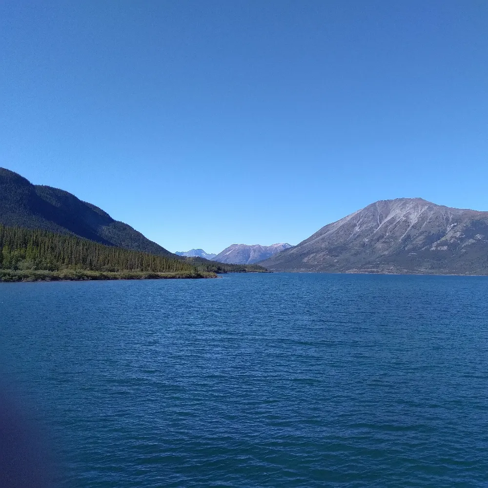 slowlearner123.bsky.social's profile picture