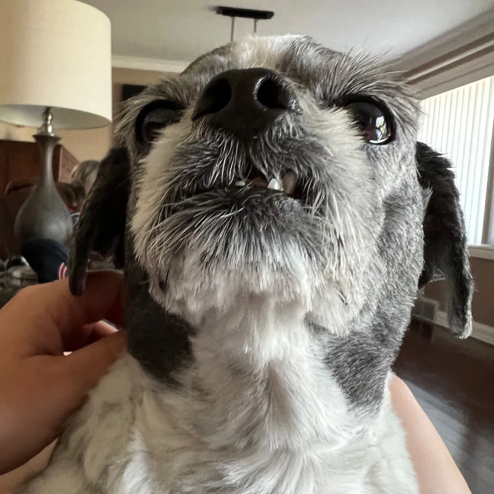 stephaniecarvin.bsky.social's profile picture