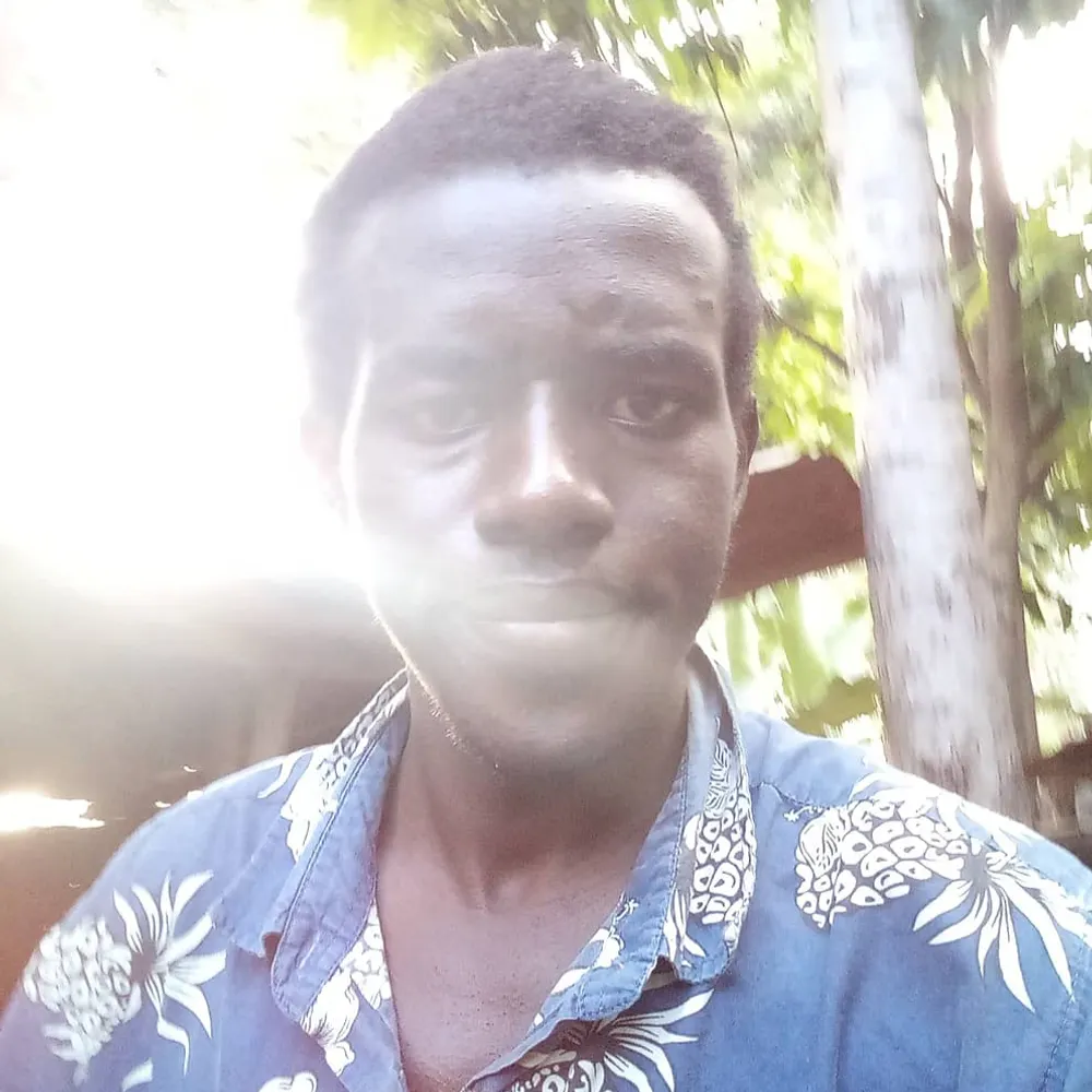 sojava.xyz's profile picture