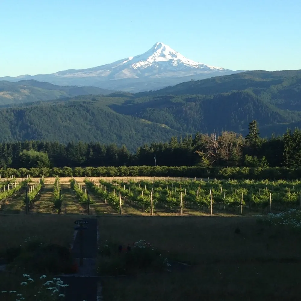 jboys3.bsky.social's profile picture