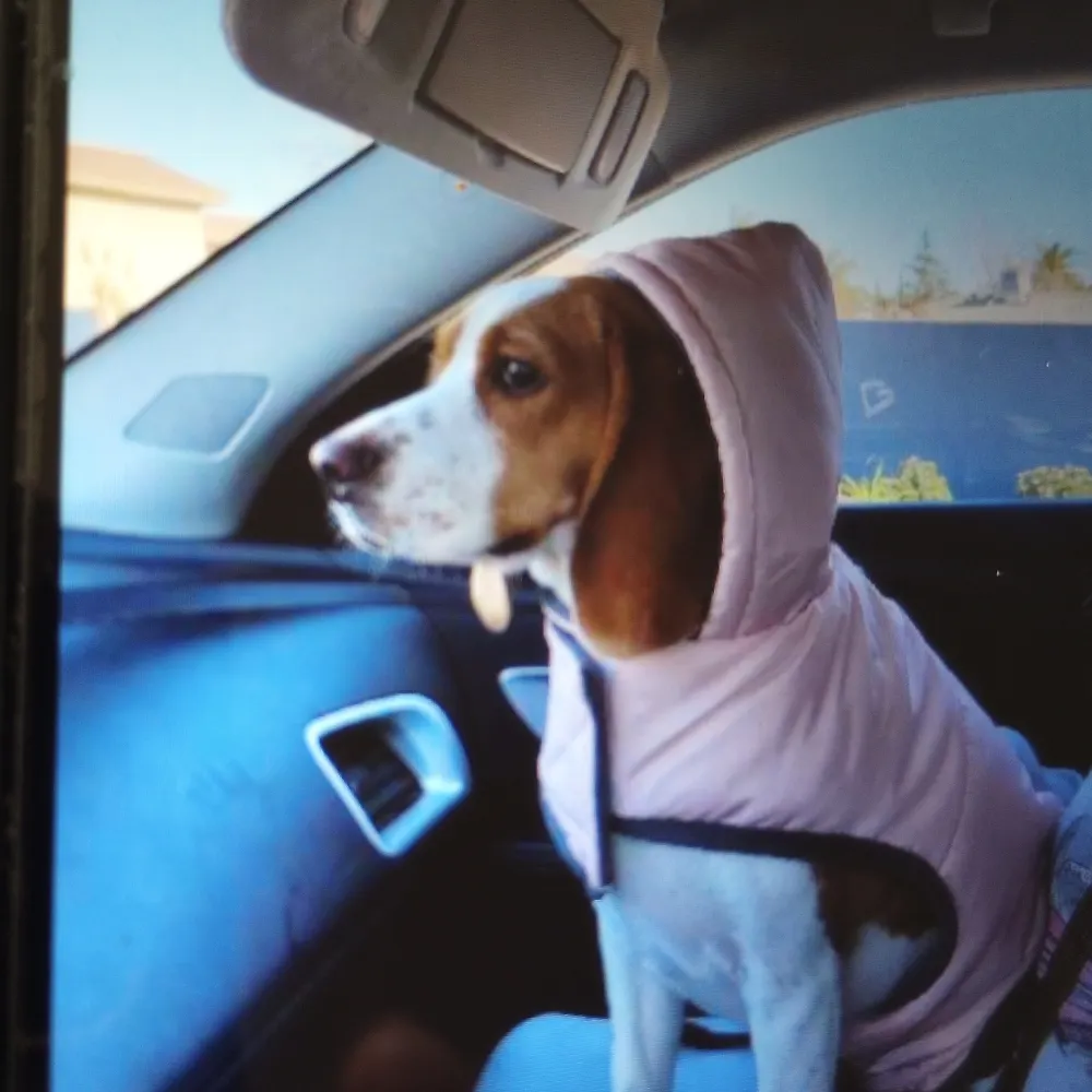 sierranicole1426.bsky.social's profile picture