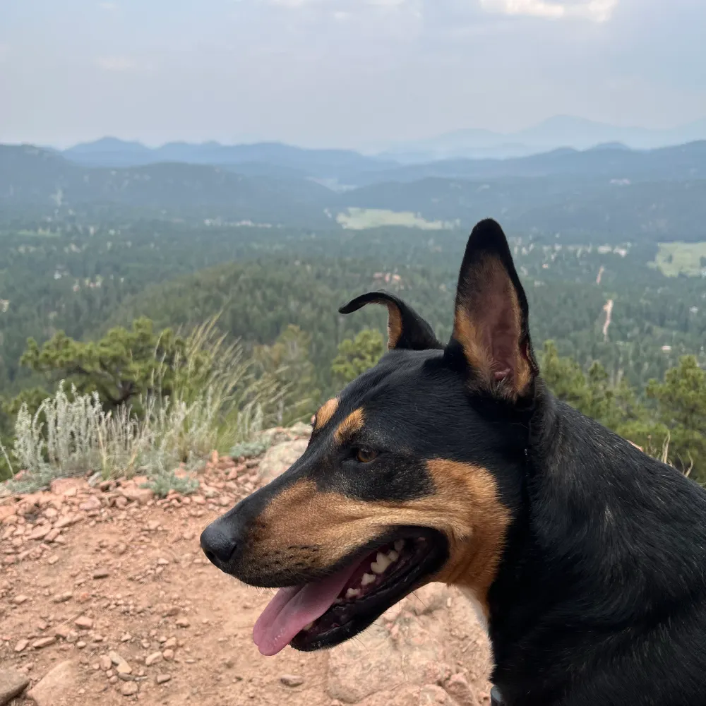 abogadozac.bsky.social's profile picture