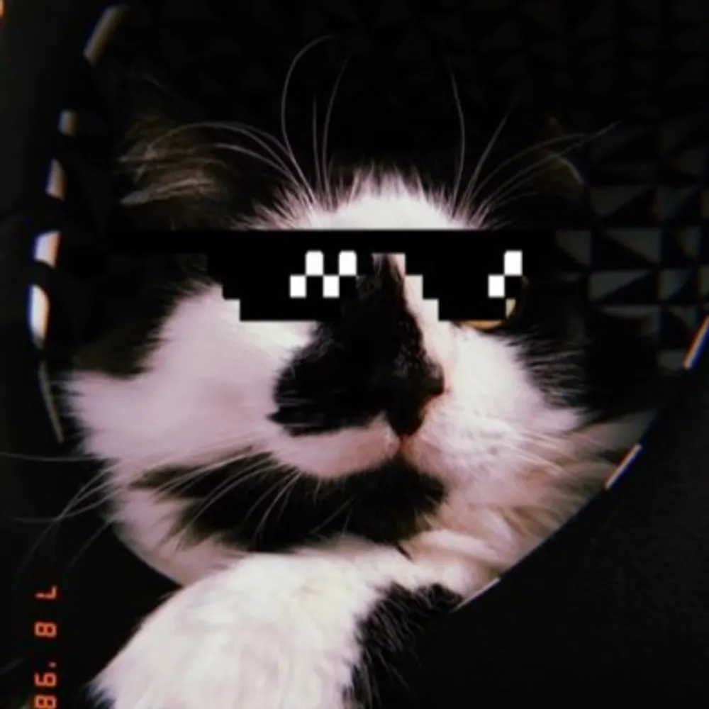 darkestchef.bsky.social's profile picture