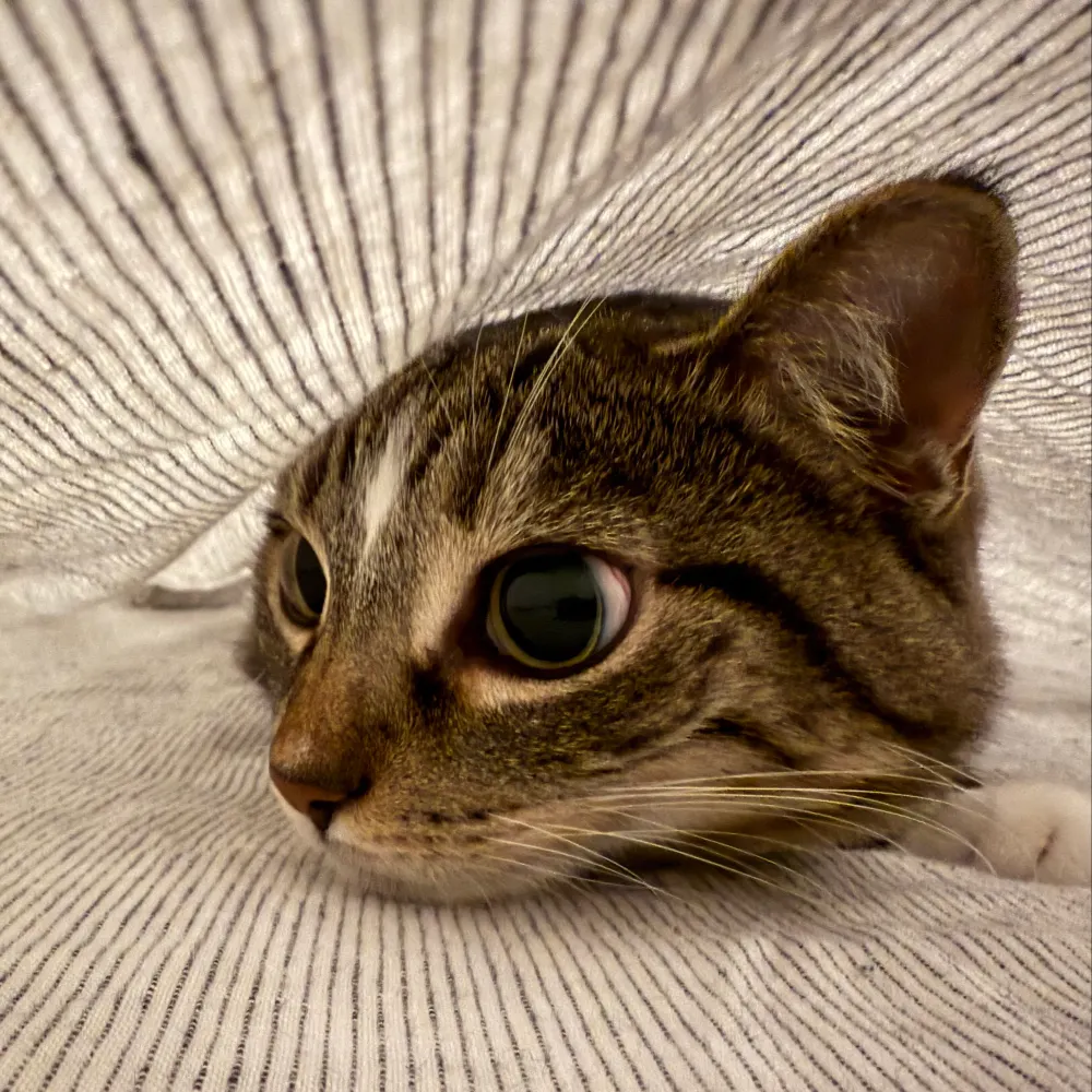 zbk.bsky.social's profile picture