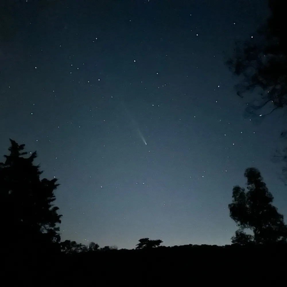 steinbergerd.bsky.social's profile picture