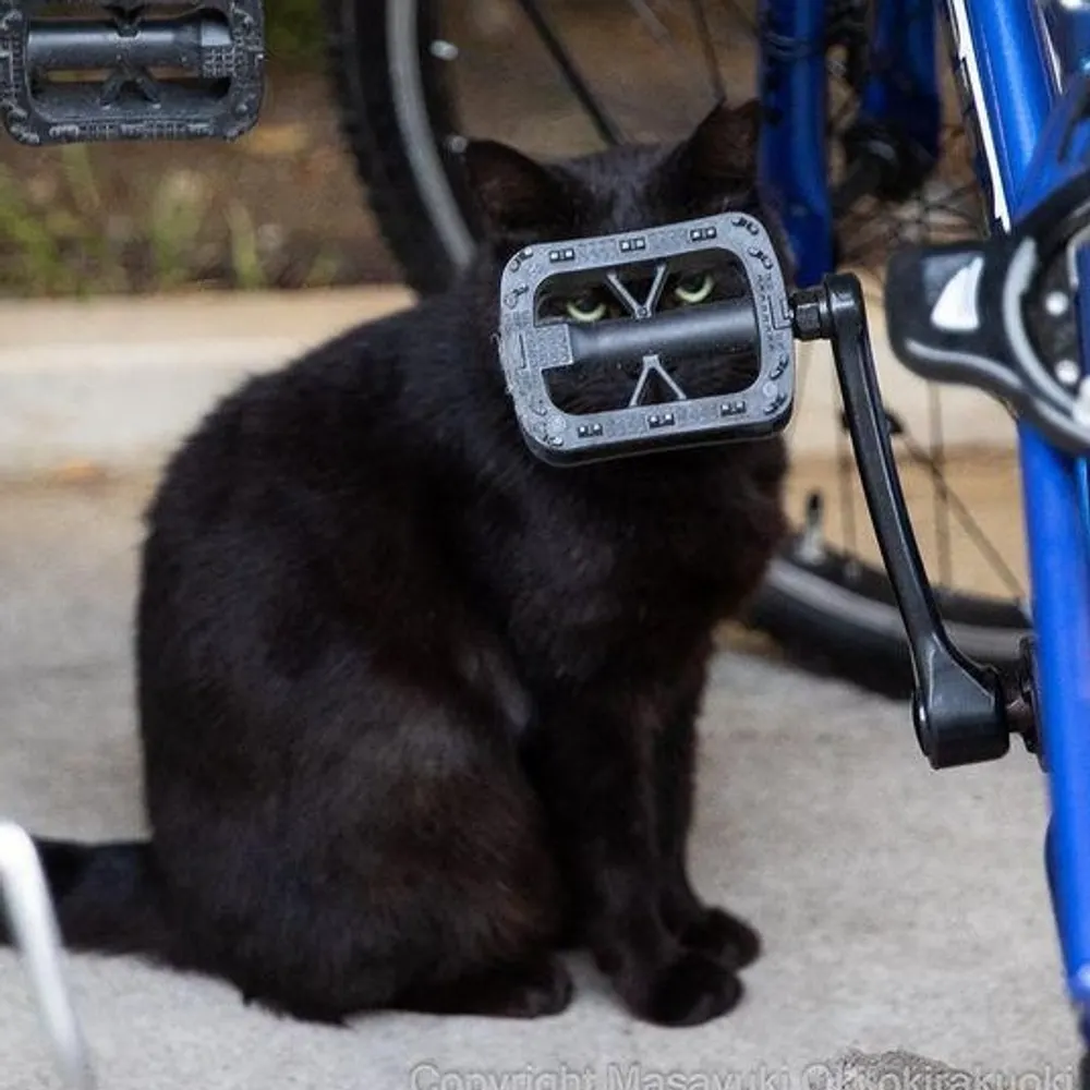 raceman95.bsky.social's profile picture