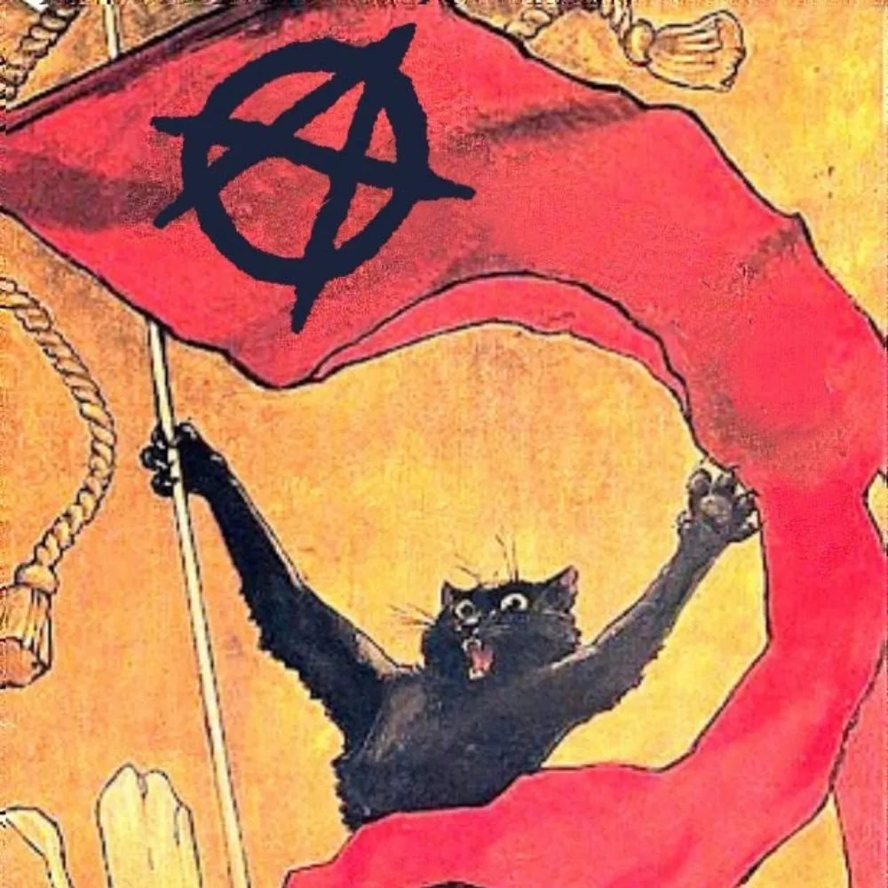 solidarity5ever.bsky.social's profile picture