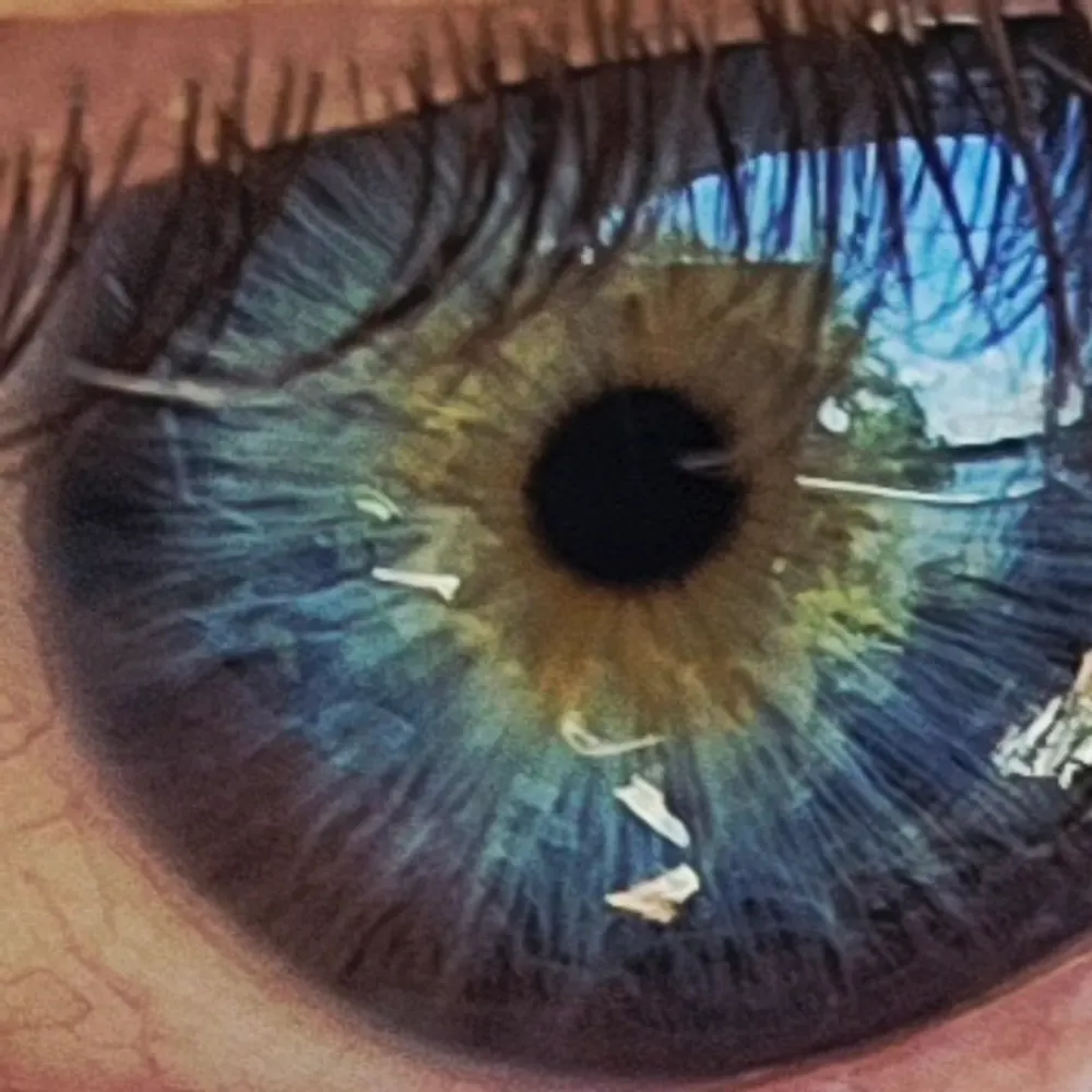 joyce4awhile.bsky.social's profile picture