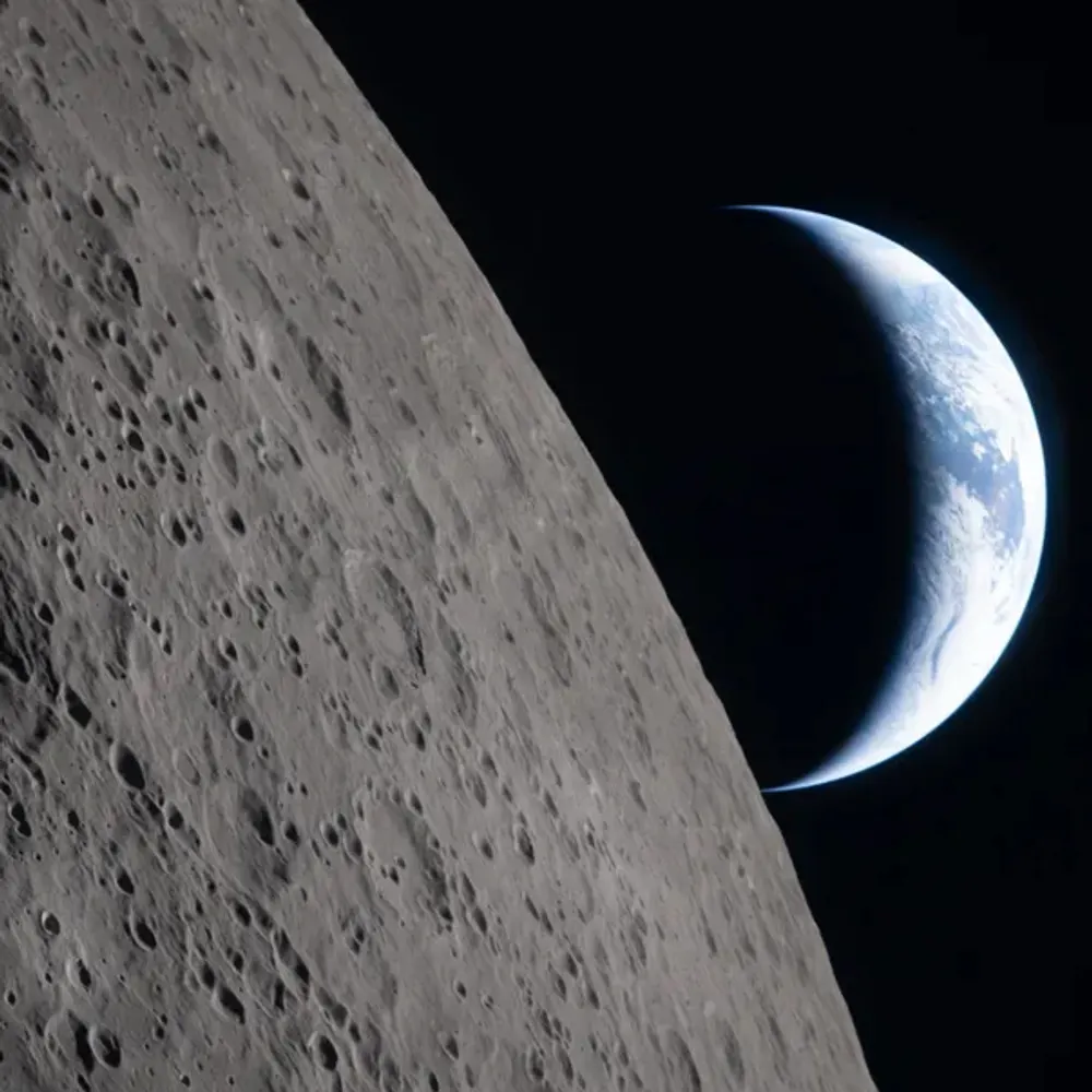 bskwowi1.bsky.social's profile picture