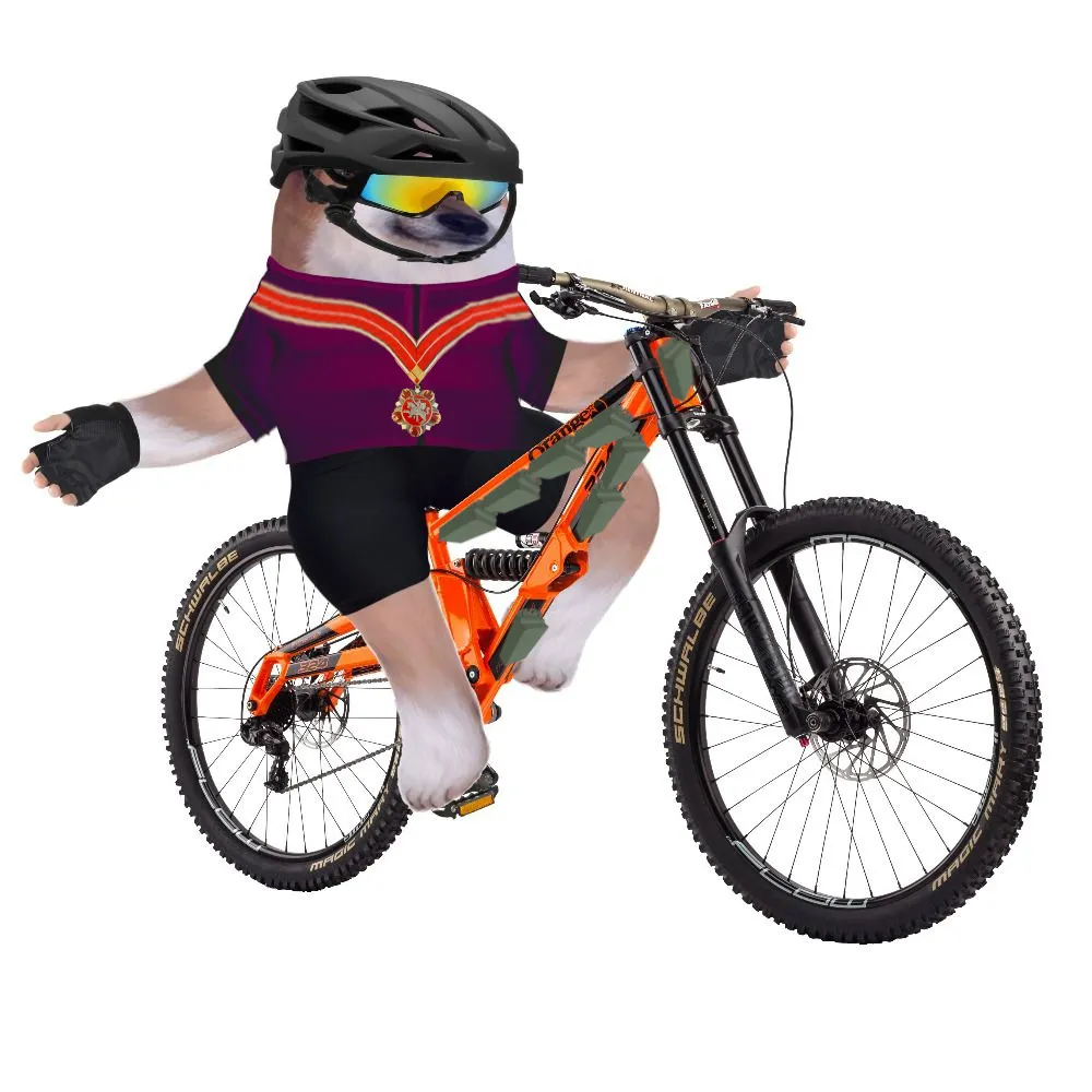 davidedesantis.me's profile picture