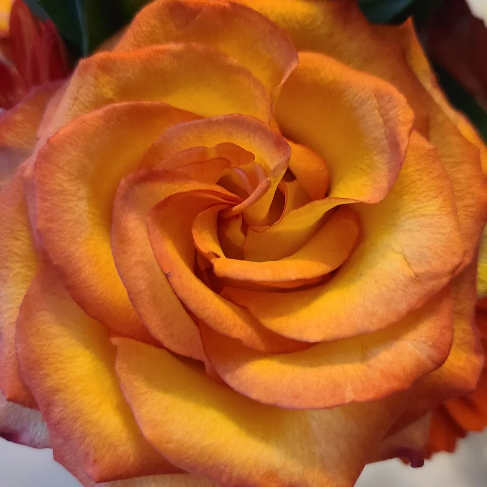 themerrymaker.bsky.social's profile picture