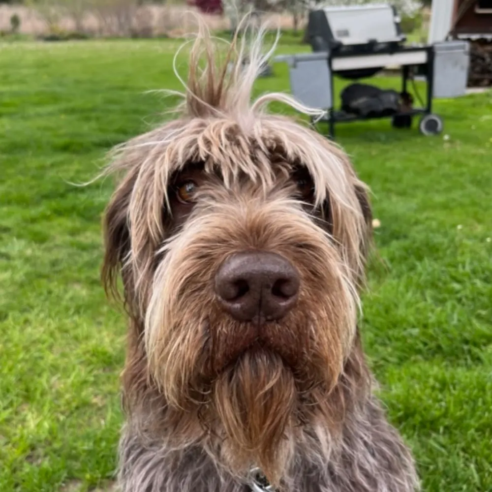 jeffreyinsko.bsky.social's profile picture