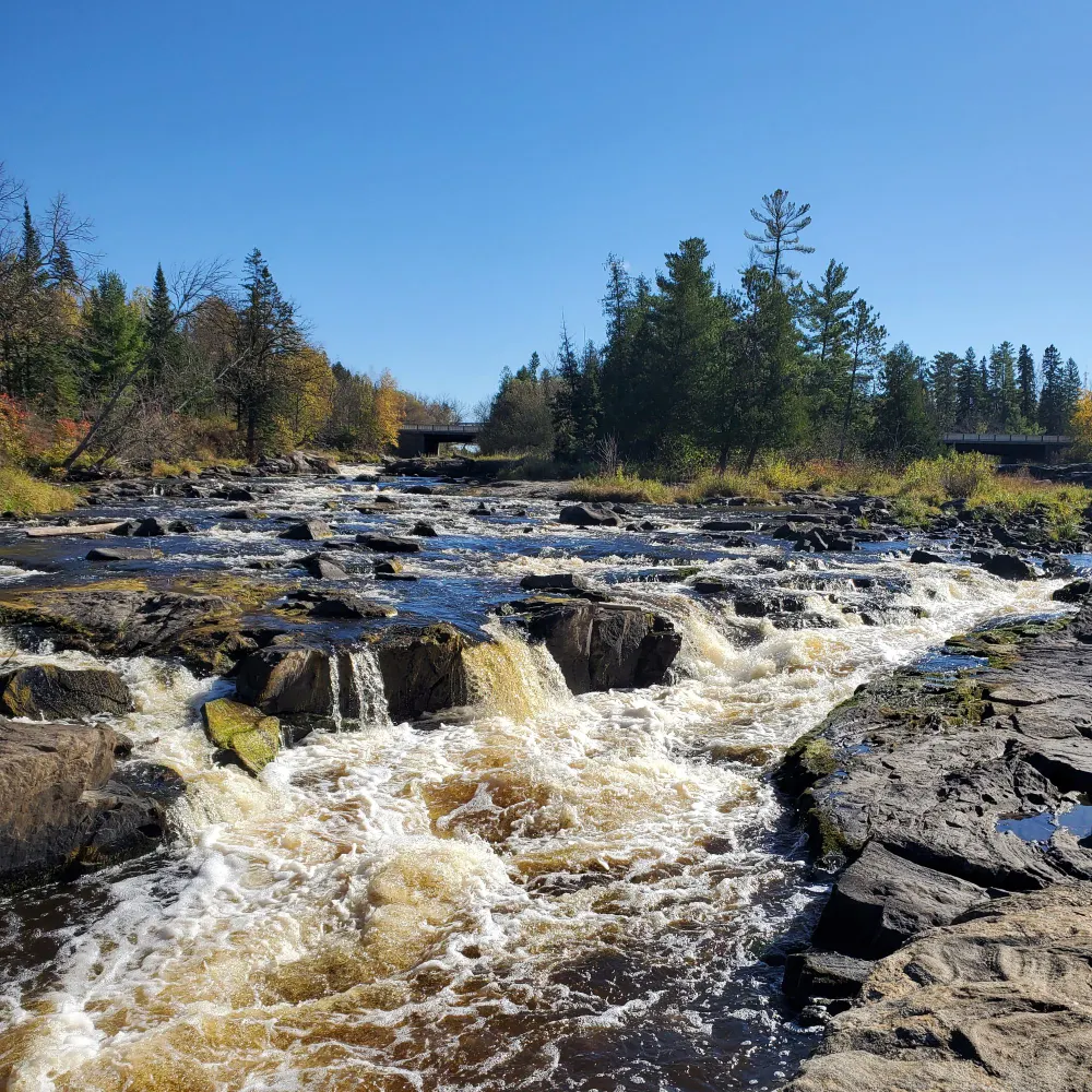 ariesrising63.bsky.social's profile picture