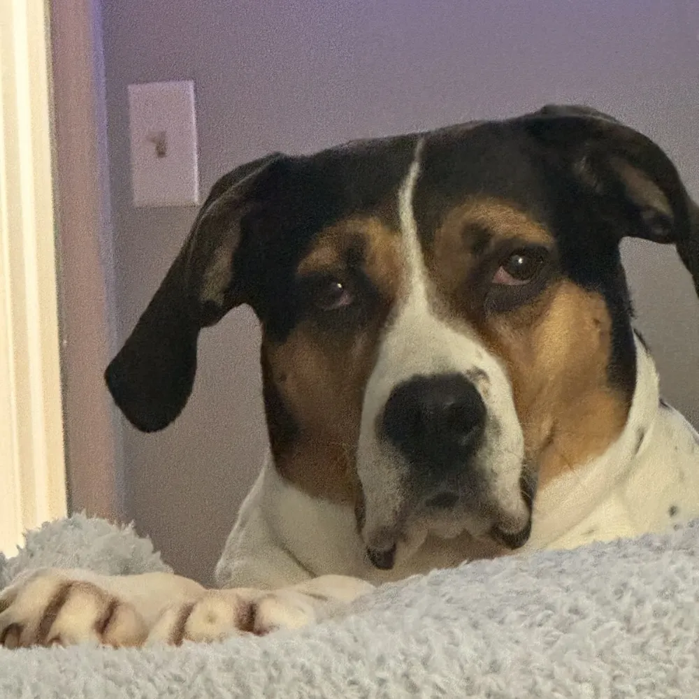 hockeyfan78.bsky.social's profile picture