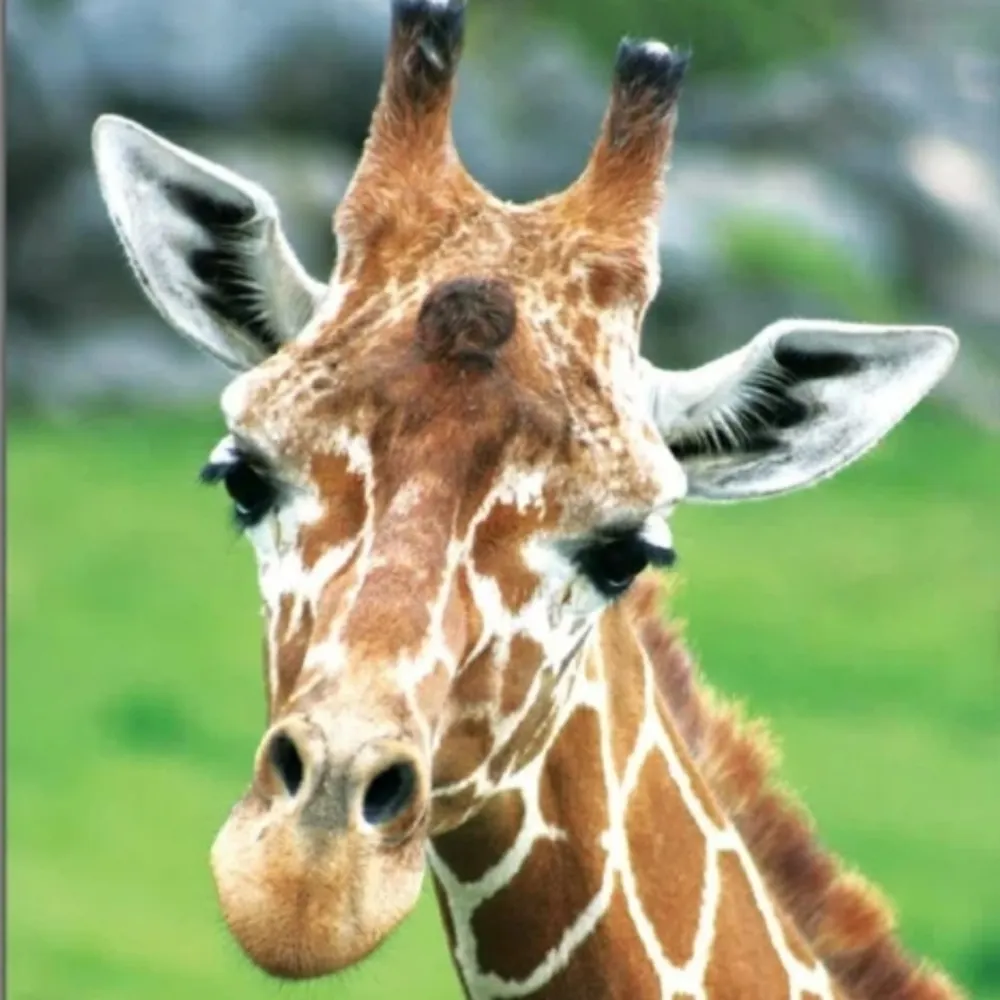 kbrady-nw.bsky.social's profile picture