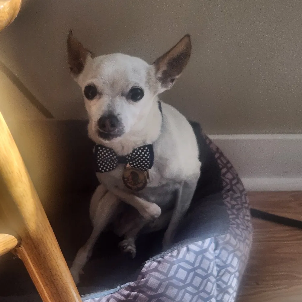 walterwrona.bsky.social's profile picture