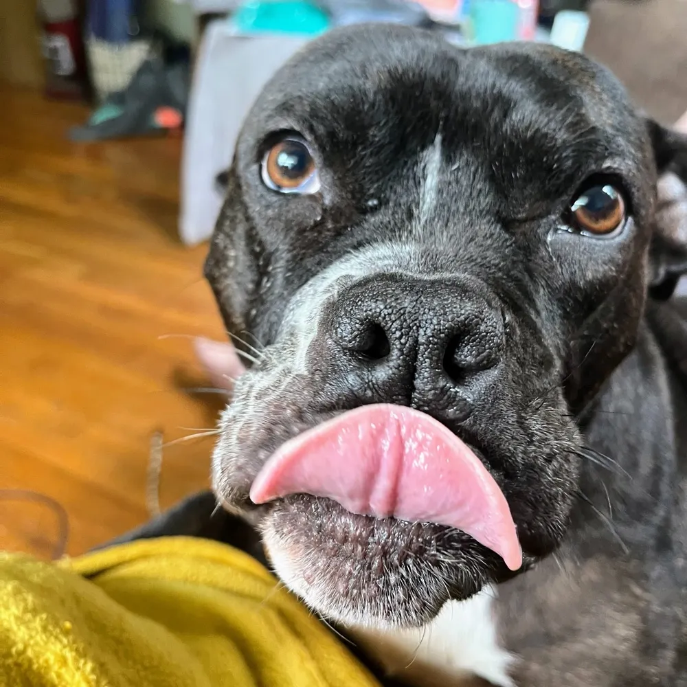 maskonalways.bsky.social's profile picture