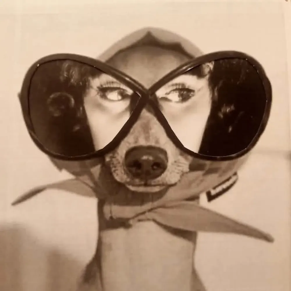 chicavilla.bsky.social's profile picture