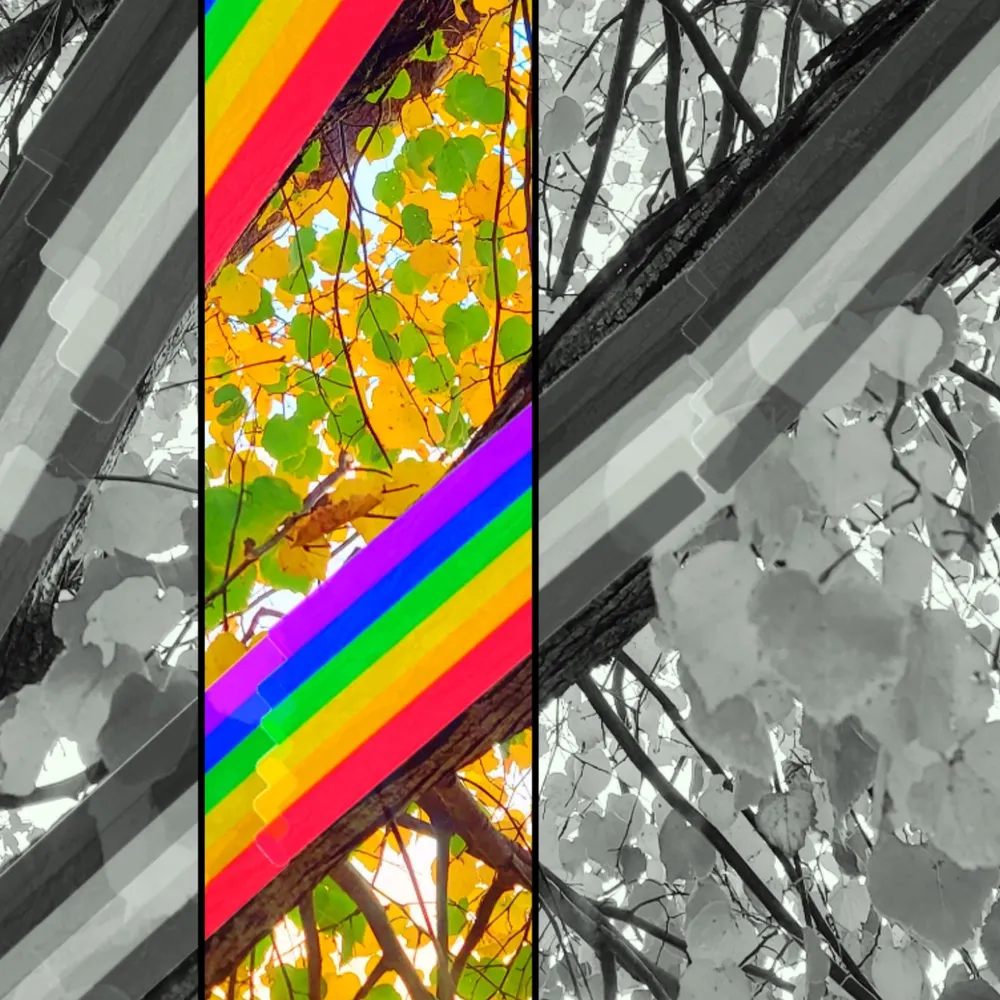 jackwrangl.bsky.social's profile picture