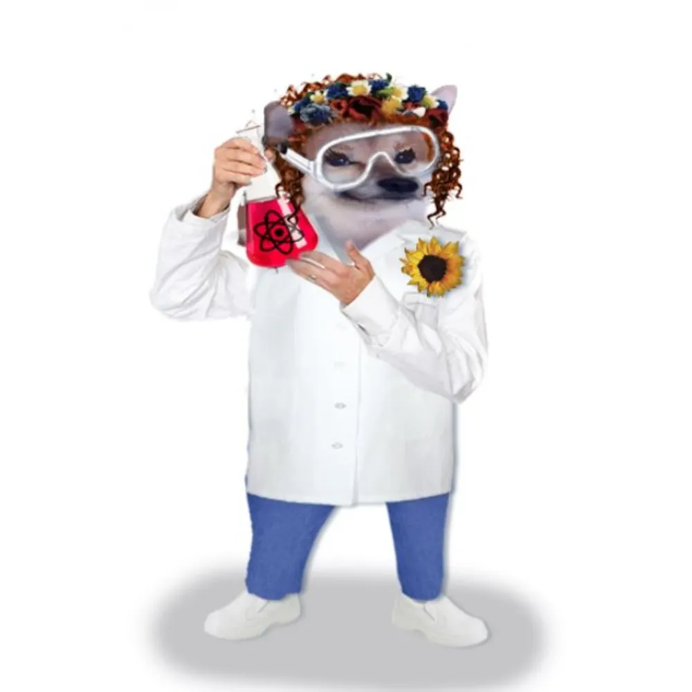 cherylrofer.bsky.social's profile picture