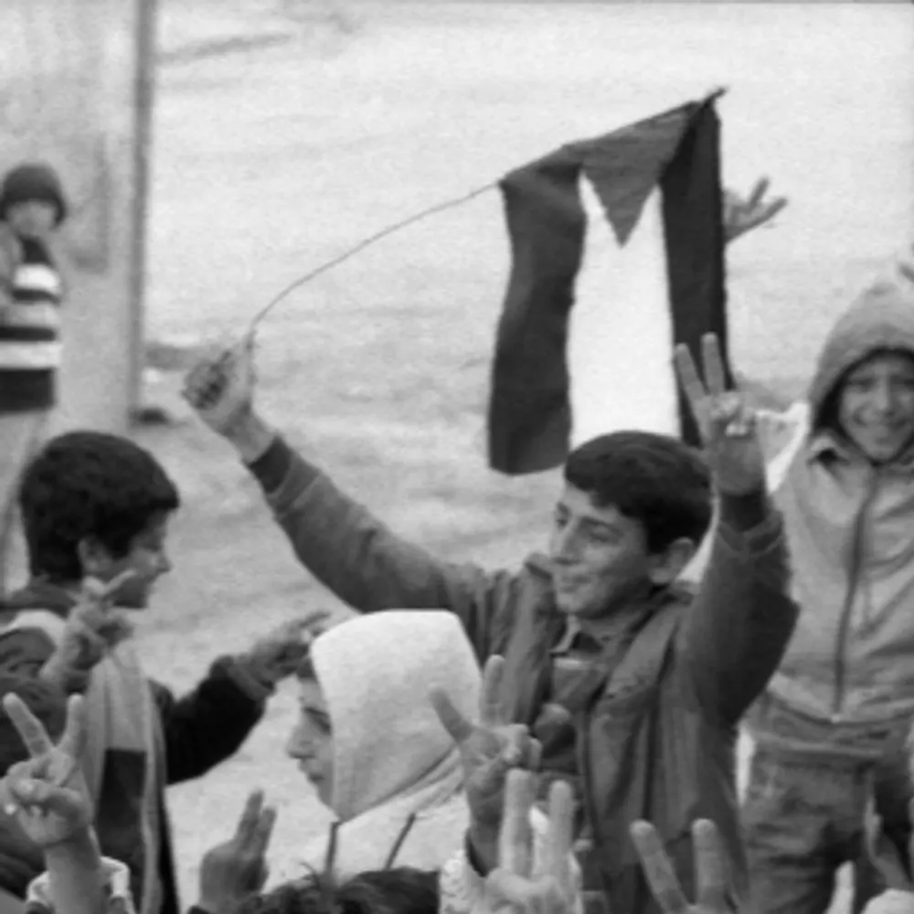 diplomatofnight.com's profile picture