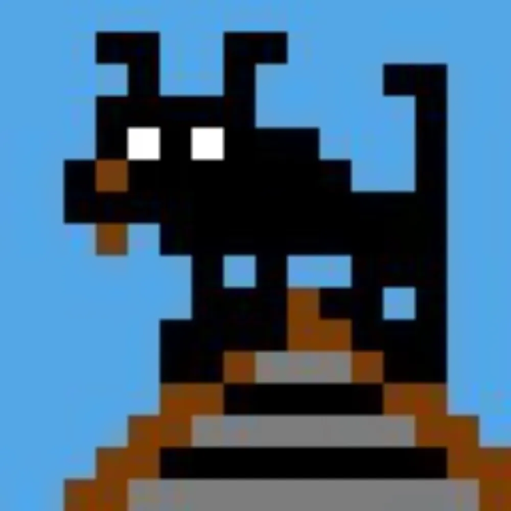 dogontheroof.bsky.social's profile picture