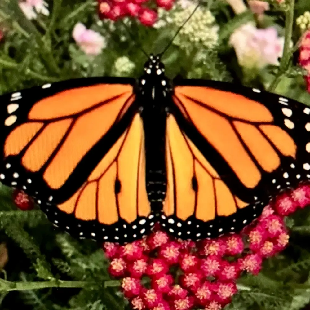 jenn-yyy.bsky.social's profile picture