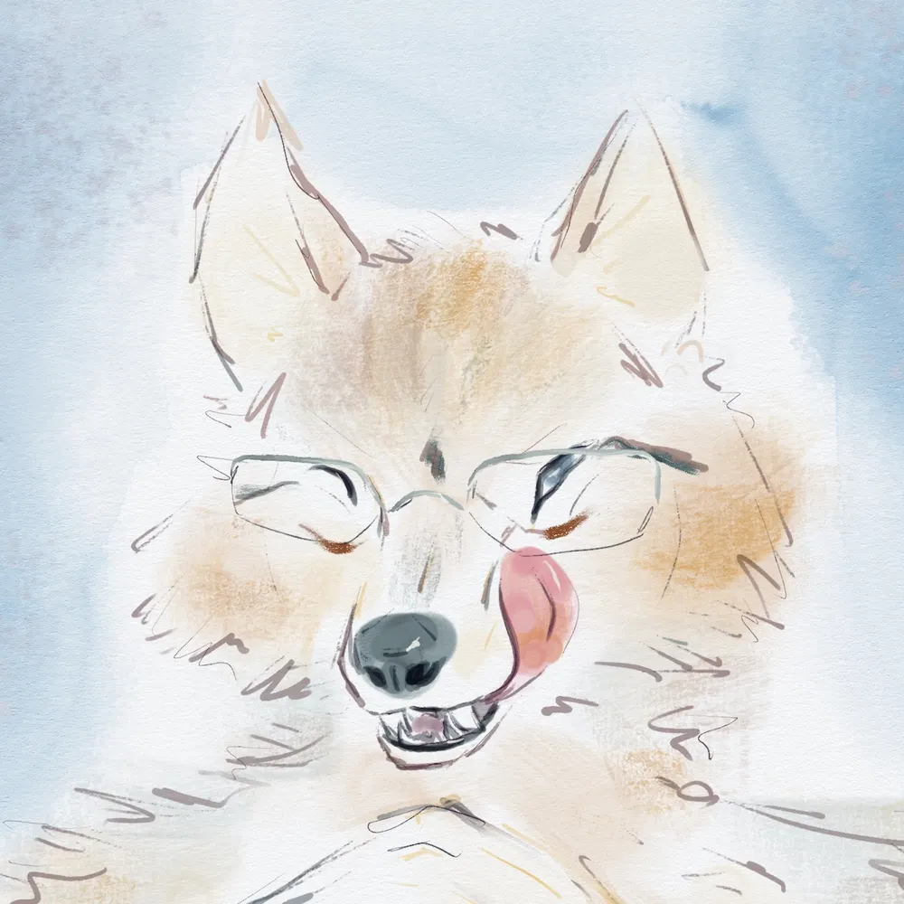 knautwuff.bsky.social's profile picture