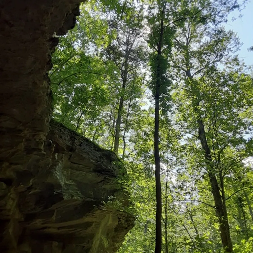 hikercat.bsky.social's profile picture