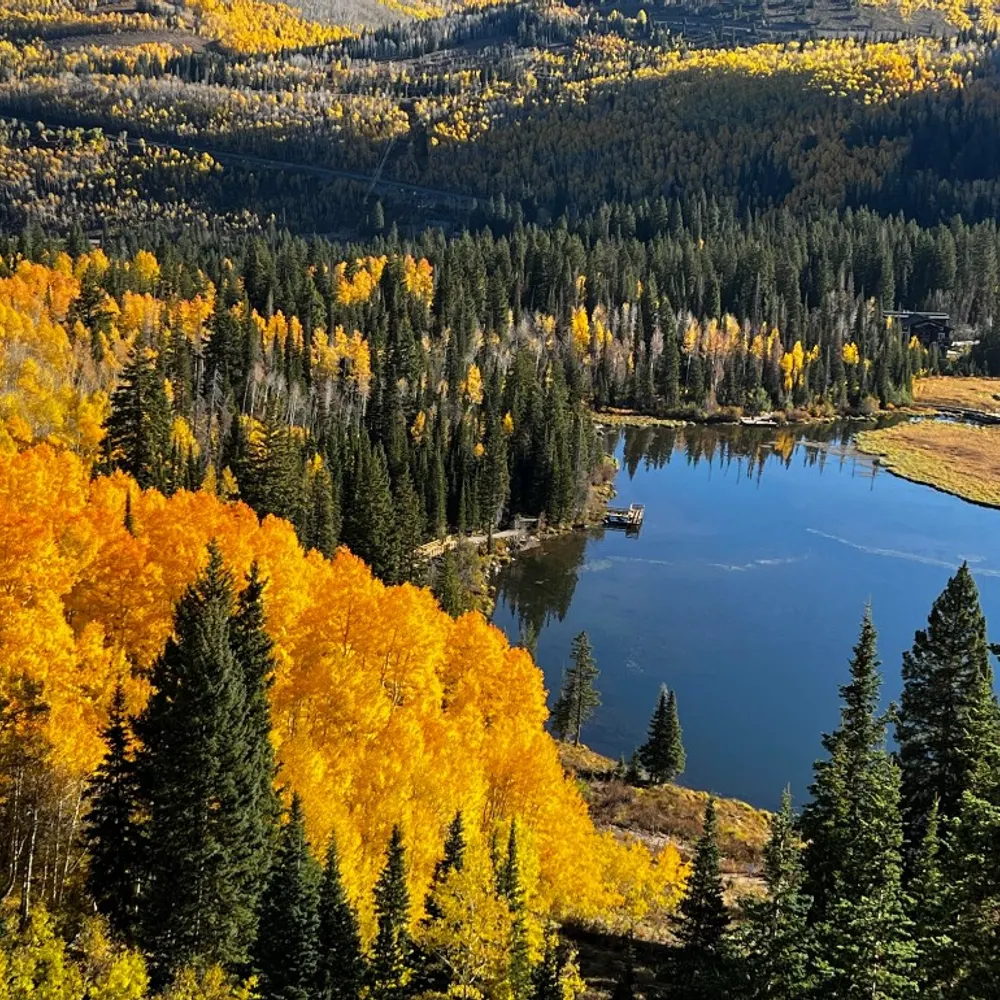 thebrett.bsky.social's profile picture