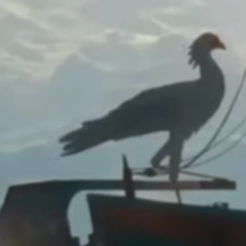 my12qc.bsky.social's profile picture