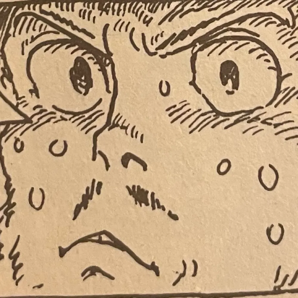 crocwearer.bsky.social's profile picture