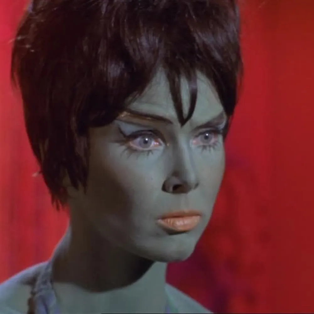 rowyourbot.bsky.social's profile picture