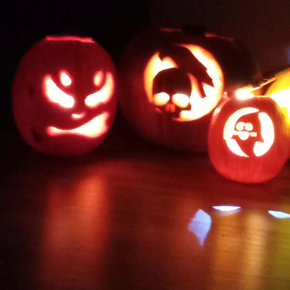 reneesearfoss.bsky.social's profile picture