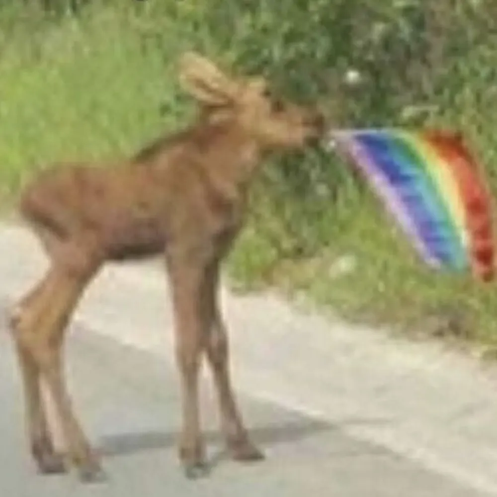 buttchug.bsky.social's profile picture