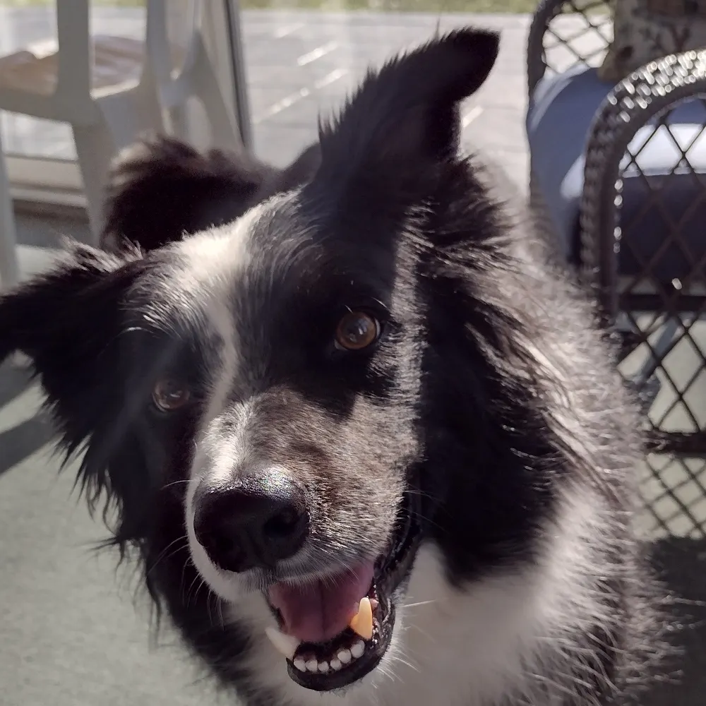 lynnvar.bsky.social's profile picture