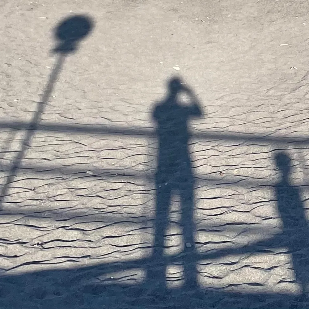 toppleton.com's profile picture