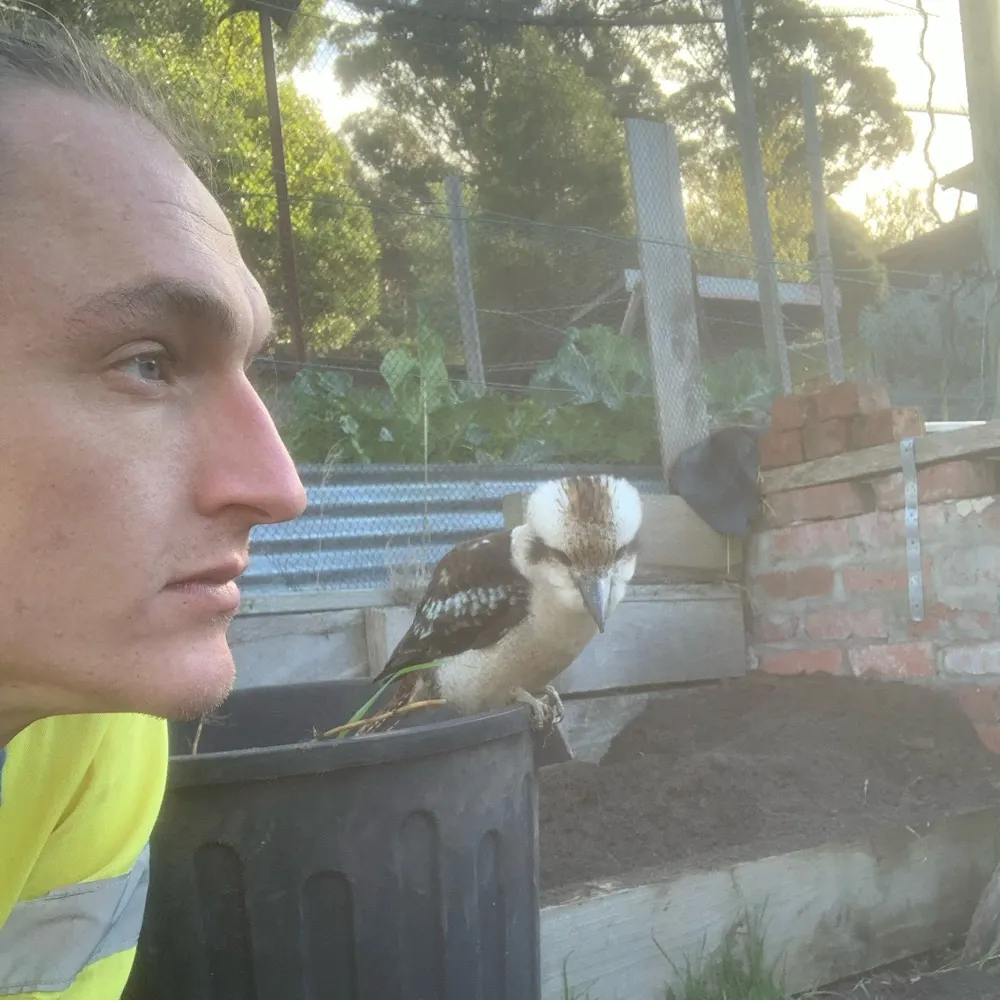 funguswolf.bsky.social's profile picture