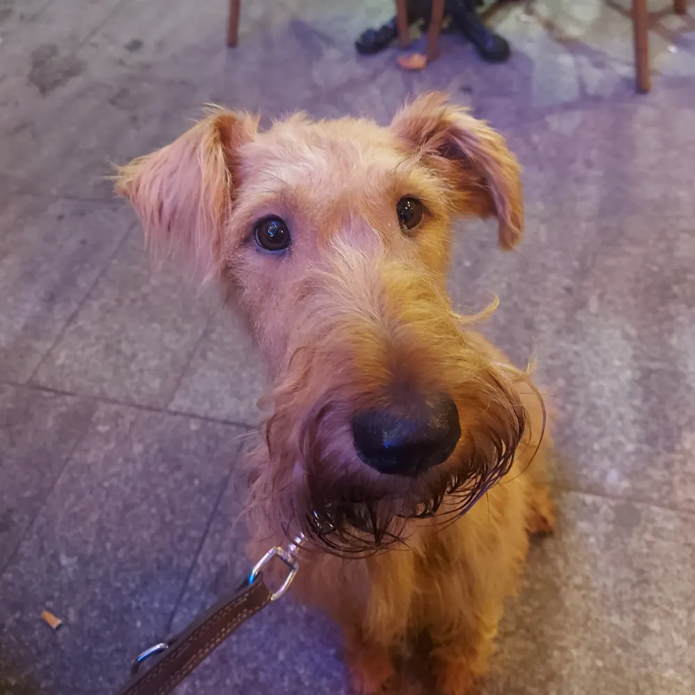 mhamlen.bsky.social's profile picture