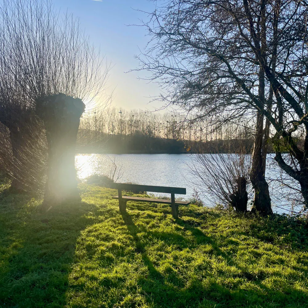 mandeala.bsky.social's profile picture