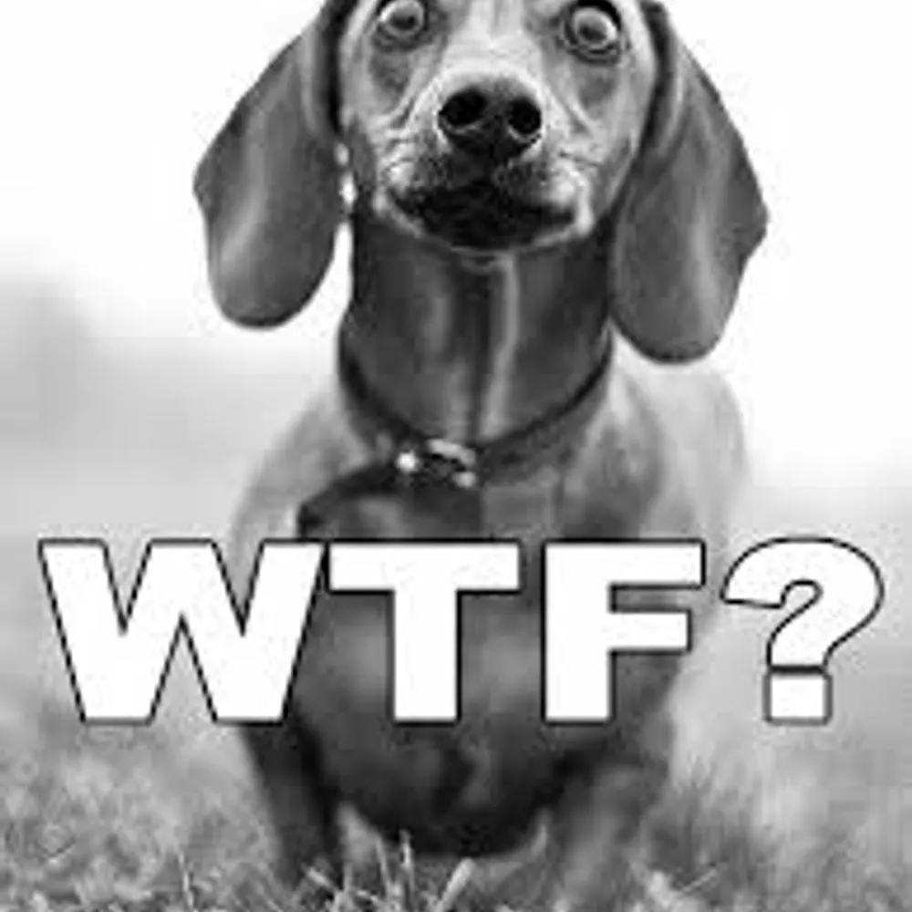 cidneverwas.bsky.social's profile picture