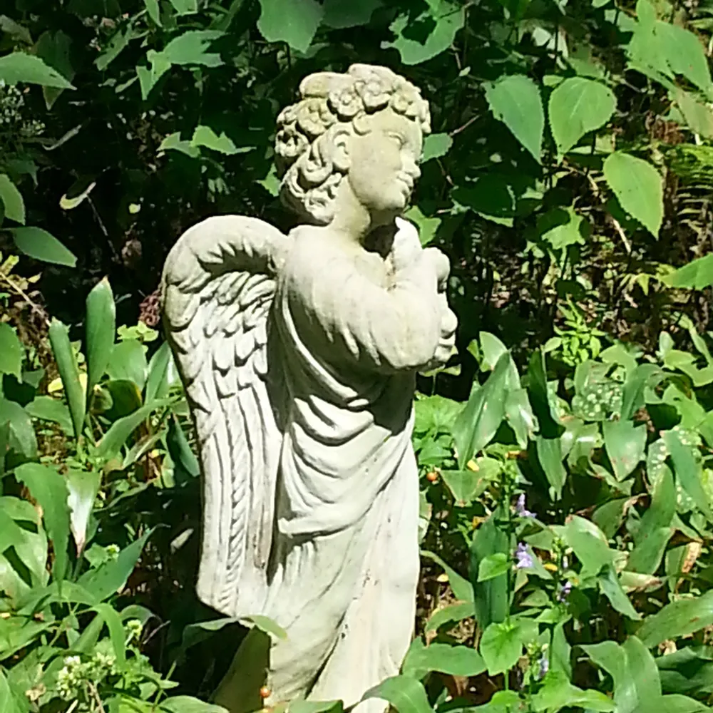 ginalolajupiter.bsky.social's profile picture