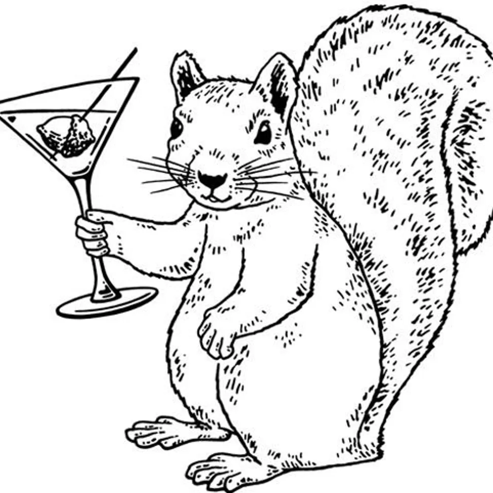 animalspirits.bsky.social's profile picture