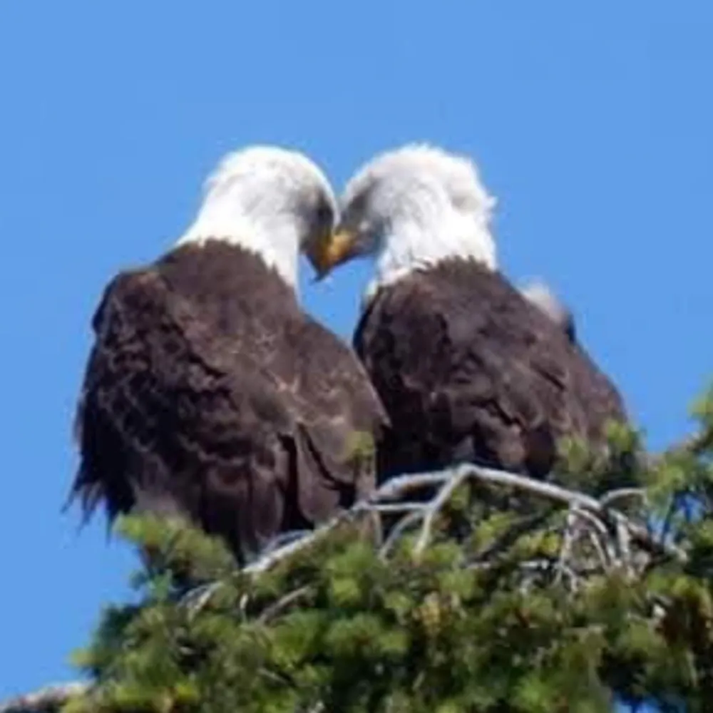 godslove2u.bsky.social's profile picture