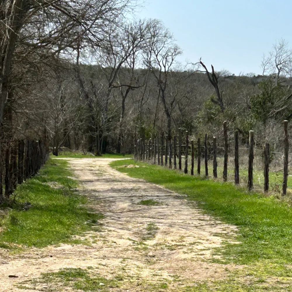 myshell84-9.bsky.social's profile picture